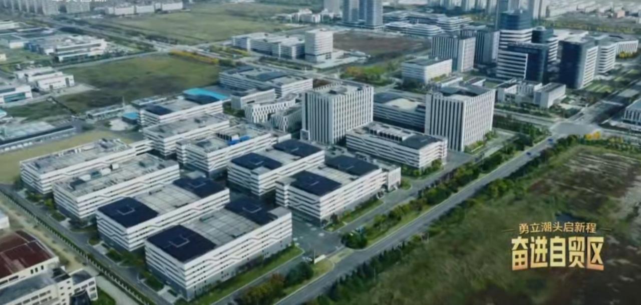 江苏自贸试验区连云港片区的医药产业高地之上，现代化楼宇群鳞次栉比，勾勒出产业崛起