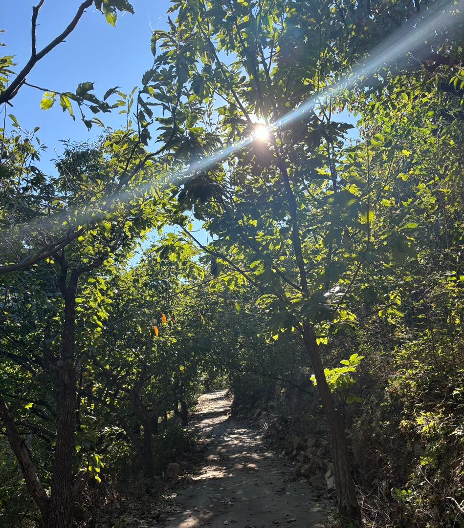 诺大的通州路县故城公园，别说想买口饭，连瓶水都没有。为什么打造得如此风景如画，历