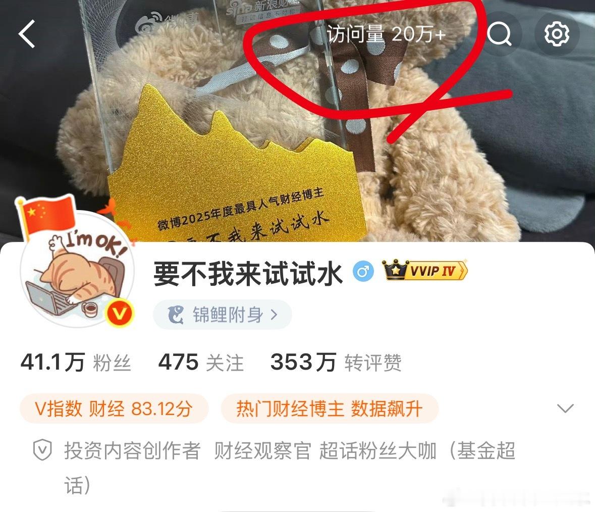 每天这么多人来访