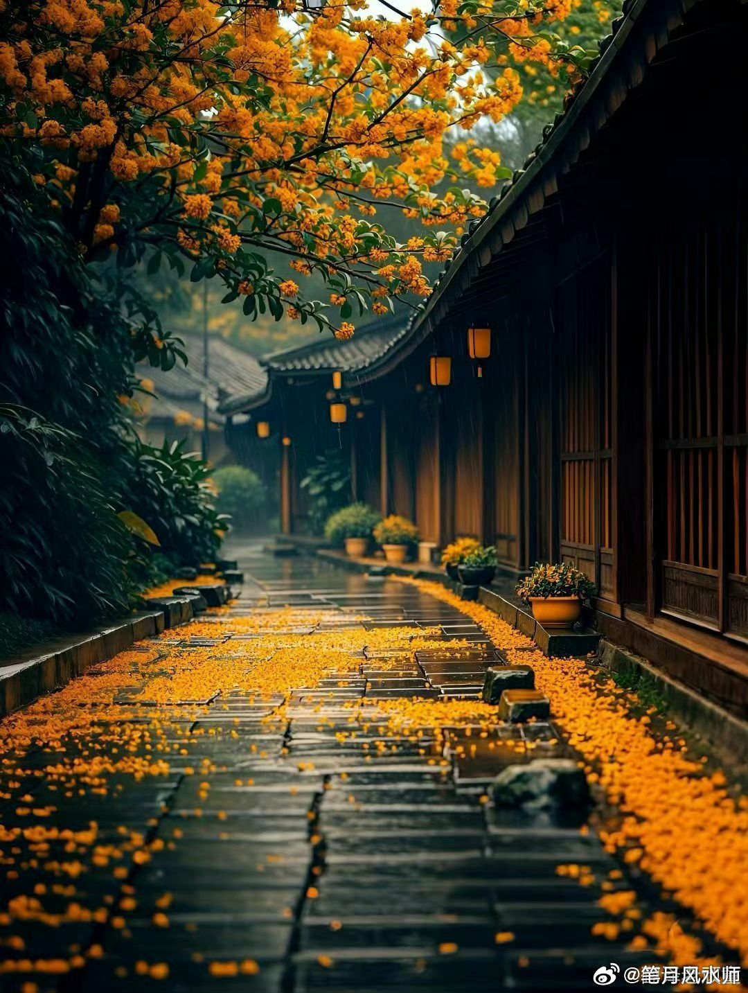 深秋已至，寒冬即来，流浪的婴灵还在找妈妈，安频好婴灵，给他有个住所，安心修行，会