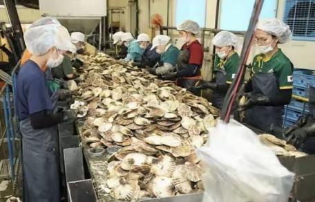 日本排放核水后，奇怪的事发生了：刚开始各国对海鲜避之不及，如今3年过去，核水已污