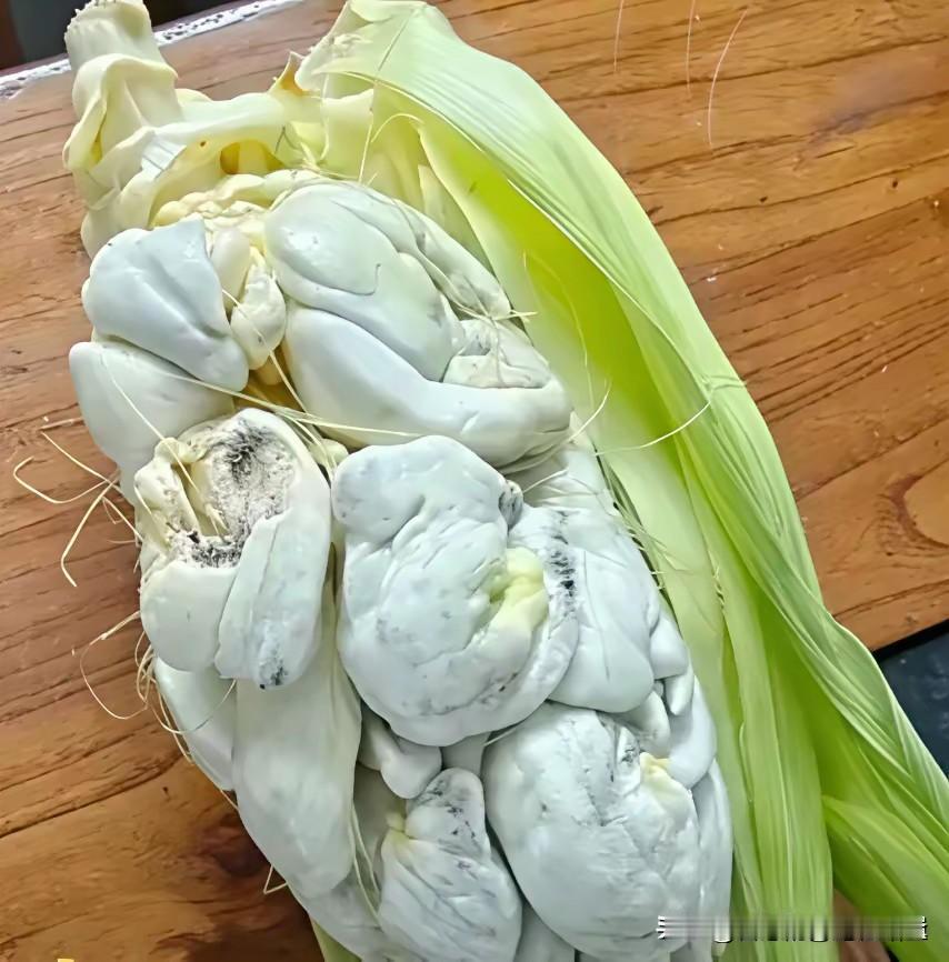 友友们你们有没有见过这个东西呢
我们老家管这个叫雾面
轻轻剥开皮里面黑色跟锅灰一