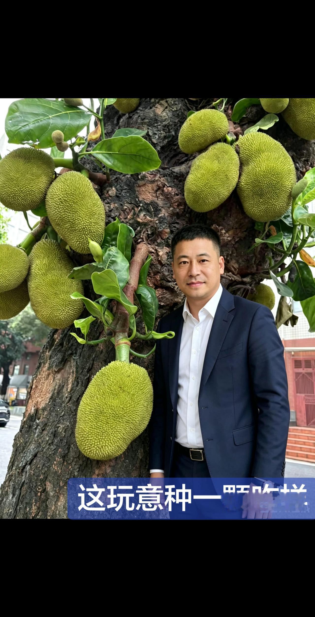 求推荐好吃的榴莲