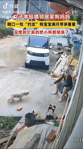 山东枣庄，一女子经常投喂邻居家的狗妈妈，而女子随口小一句“约定”狗宝宝满月后，带