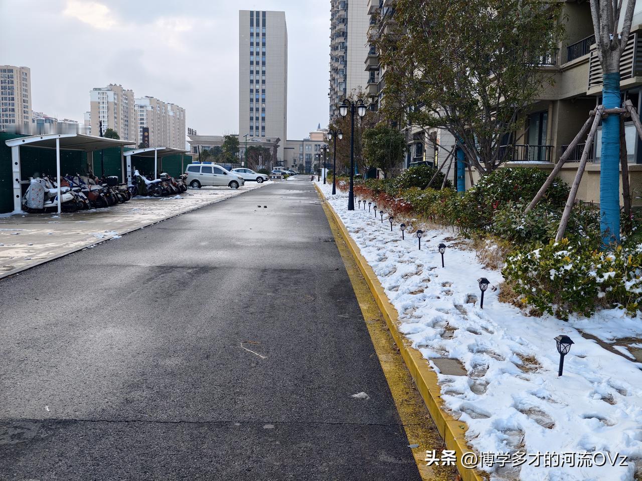 今天是金碧物业走后的第81天。

就像唐僧西天取经经历81难，对于我们小区来说，