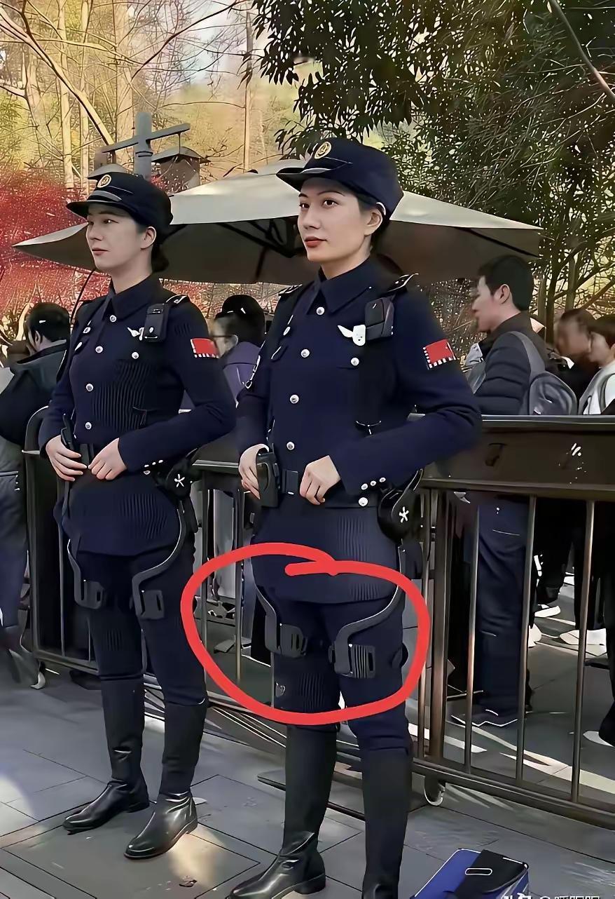不懂就问：这个装具是做什么用的？
