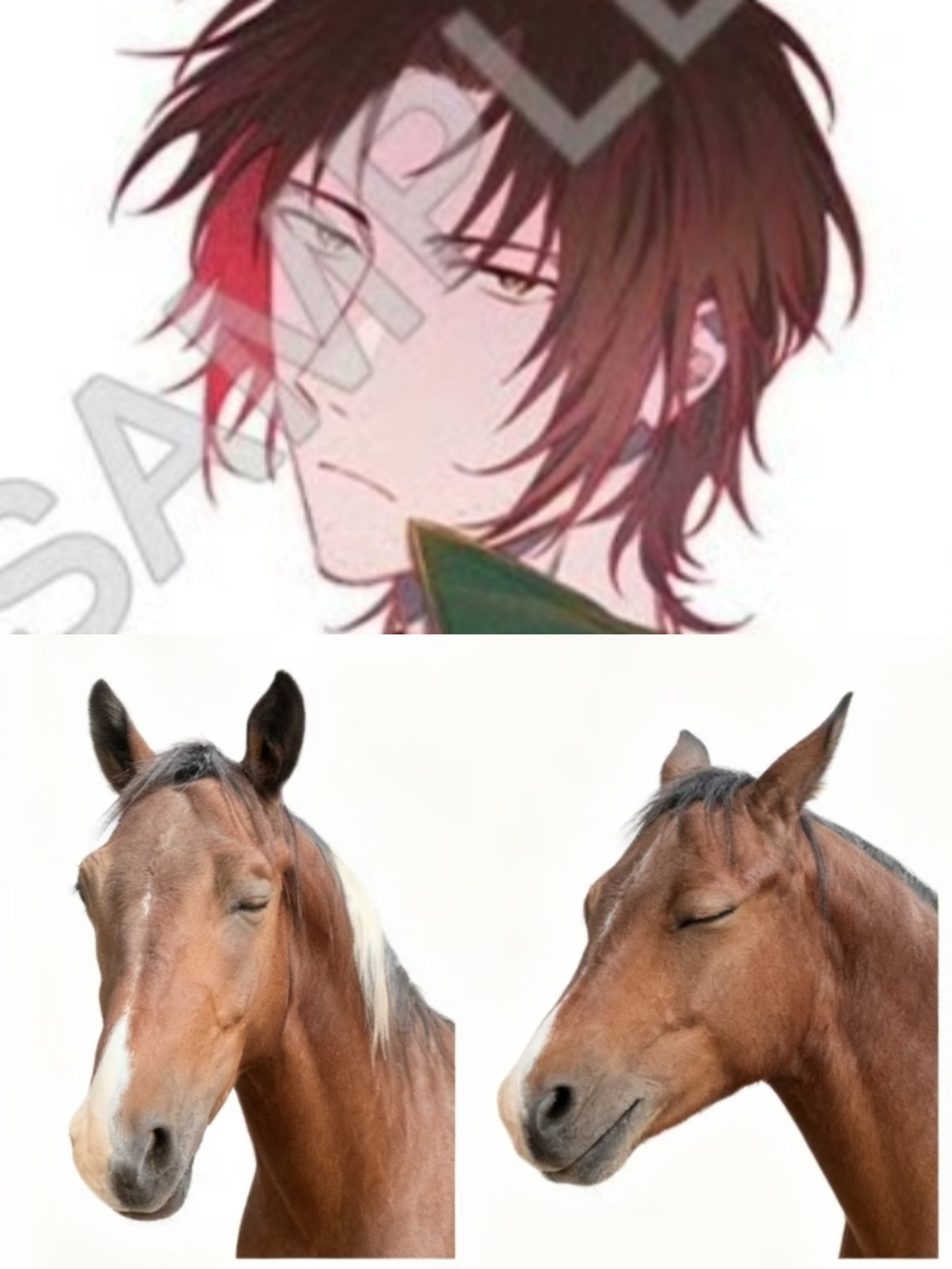 【tg】一键查询老莉和🐴的相似度是？2581 