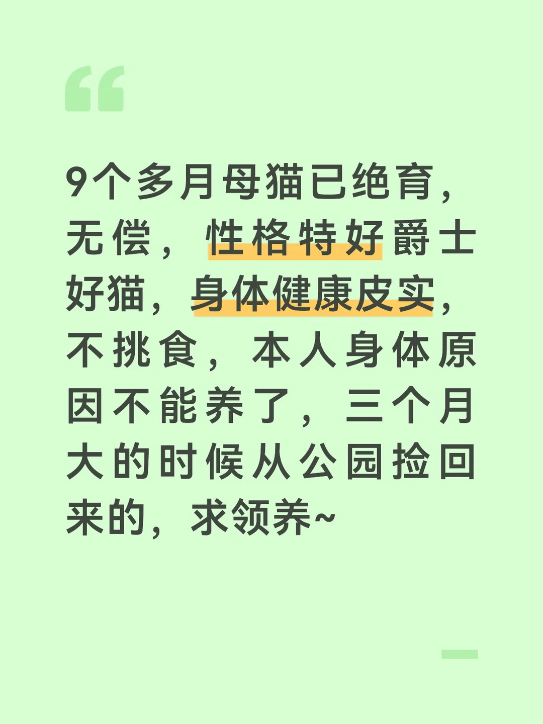 求领养 猫咪生活用品打包送，吃好点的猫粮，对猫负责，不奢求罐罐