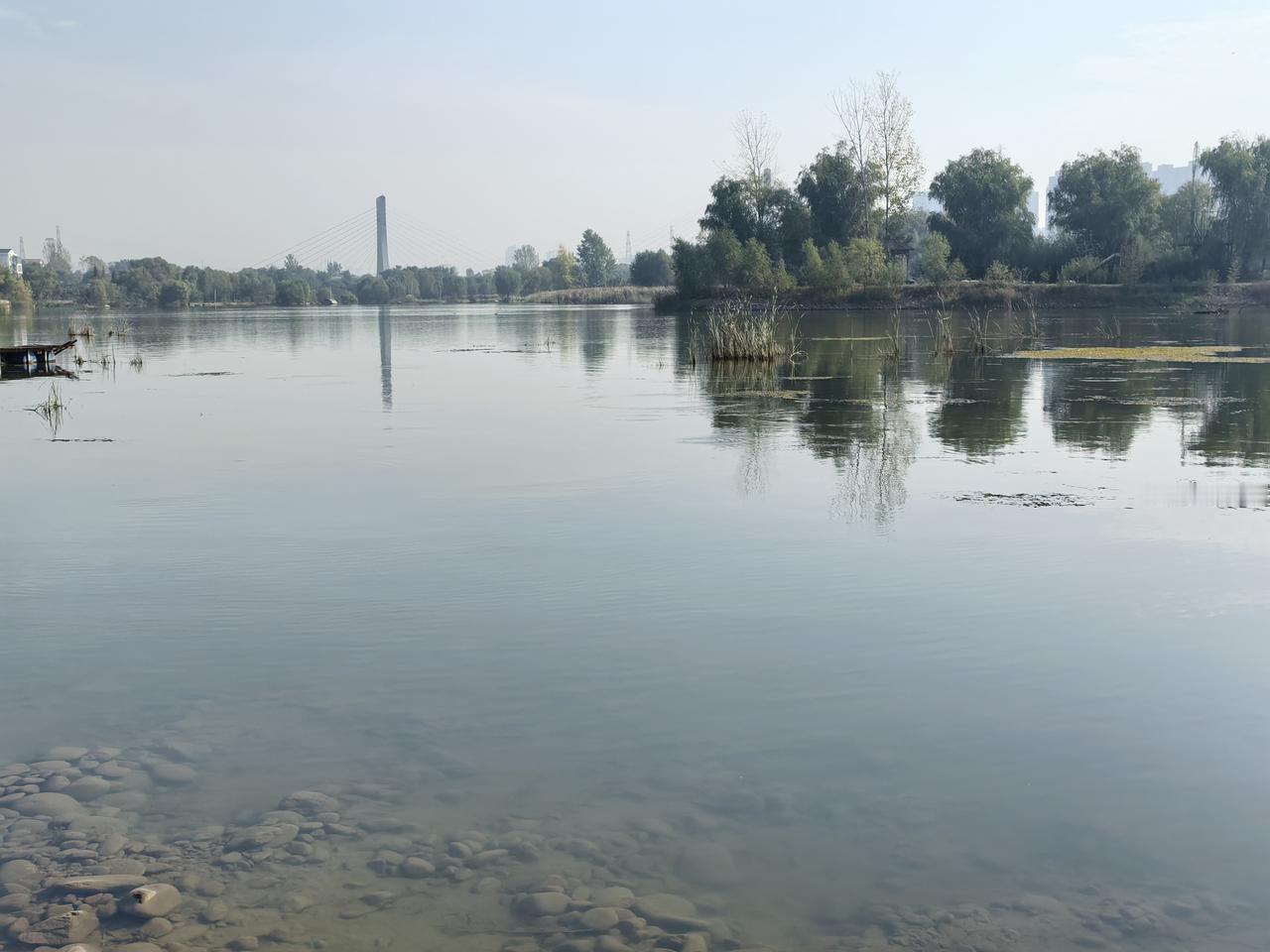 曾经的洛河秋景 洛神岛，现在已经关门了，但风景依然，没有人来，就我一个人在这里欣