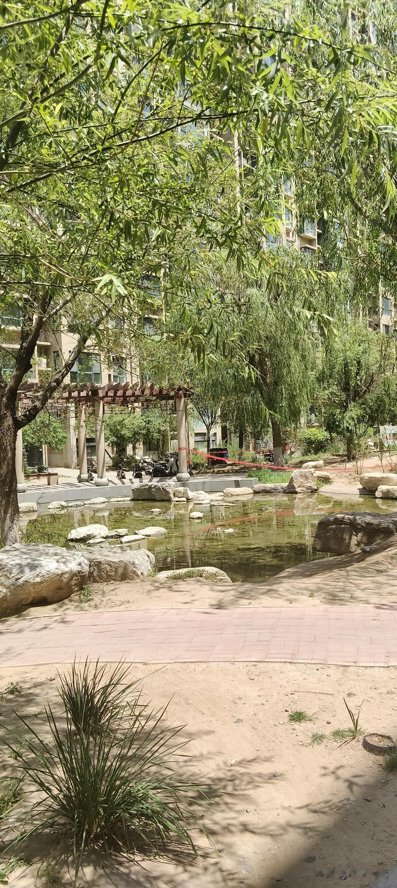 小区四个问题
第一问，小区没有了物业电梯安全谁来负责
第二问，消防设备设施运行谁