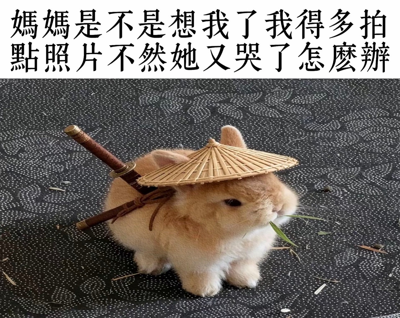 今天放假我家孩儿可以出来发信息不[色] ​​​