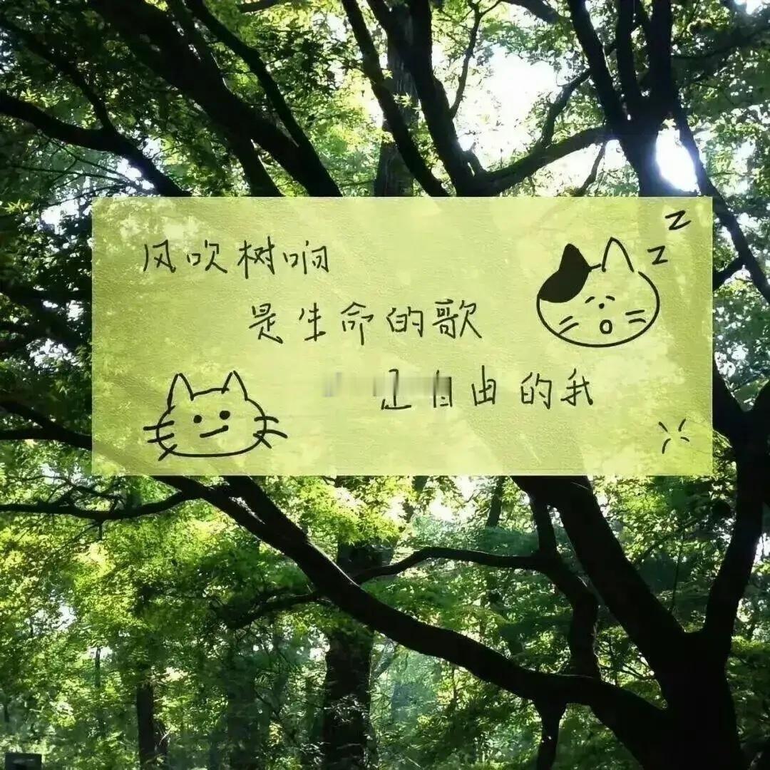 你可能觉得，双子座怎么会粘人？他们不是最爱自由和新鲜感吗？没错，但这里的“粘”，