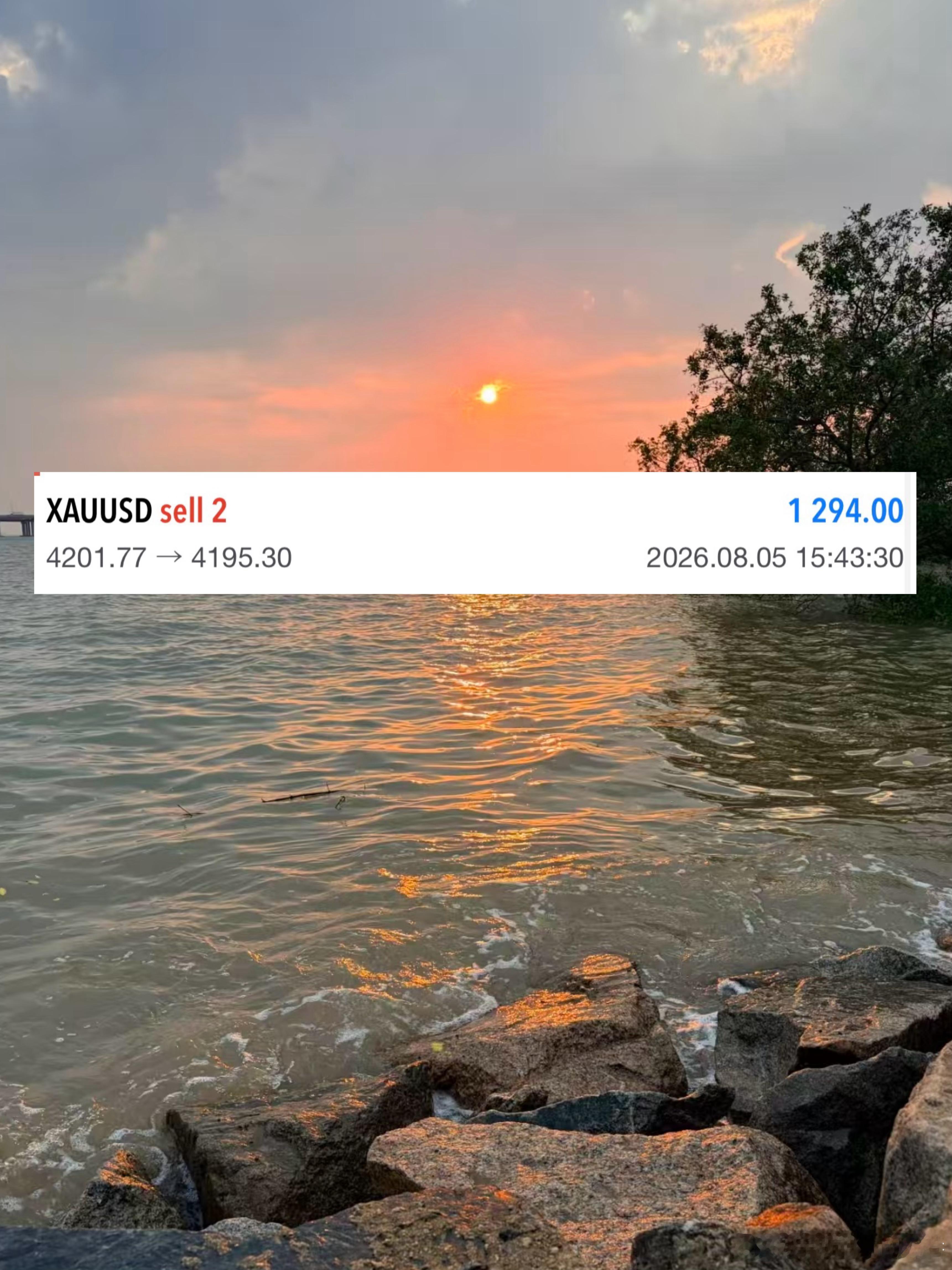 小张晚间第三丹箜！4201➡️4195，6点空间，洛带1294刀！ 