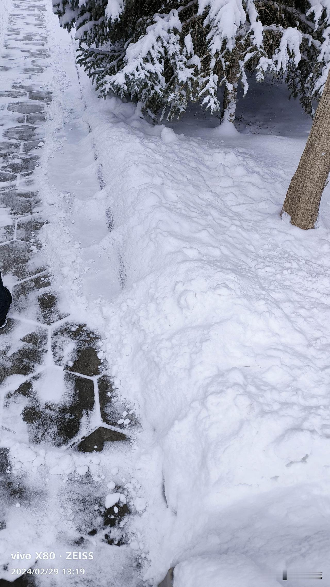 春雪飘飘洒洒下了一夜，也
落了一层厚厚的雪。春雪水分大，干裂的土地得到滋润，对春