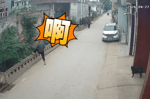 小黑：为了我的幸福大计，主人这哑巴亏只能你扛了。