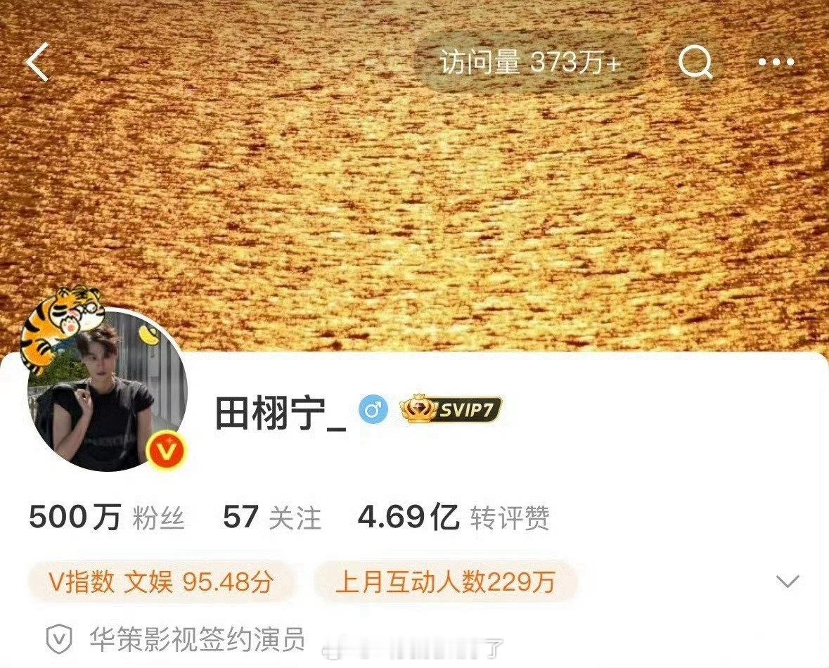 田栩宁的微博粉丝量已经上500万了！也是今年横空出世的流量了🙊 ​​​