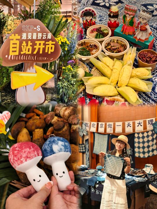 菌子季来不及飞云南，来这个免费云南市集吧