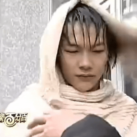 捡到一只被雨淋湿的流浪狗 
