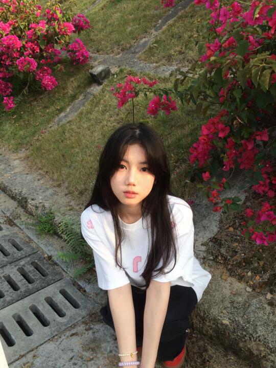 春天的三角梅