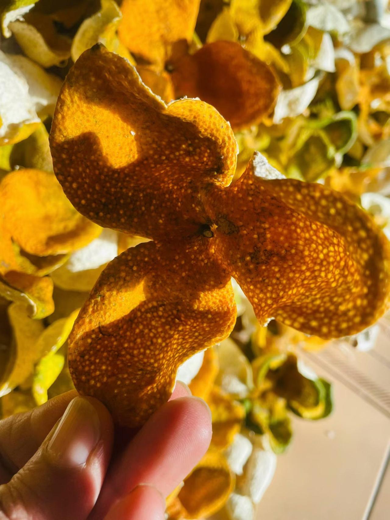 👨🏻‍🌾阳光下的新会柑皮，自然的美感，值得期待！