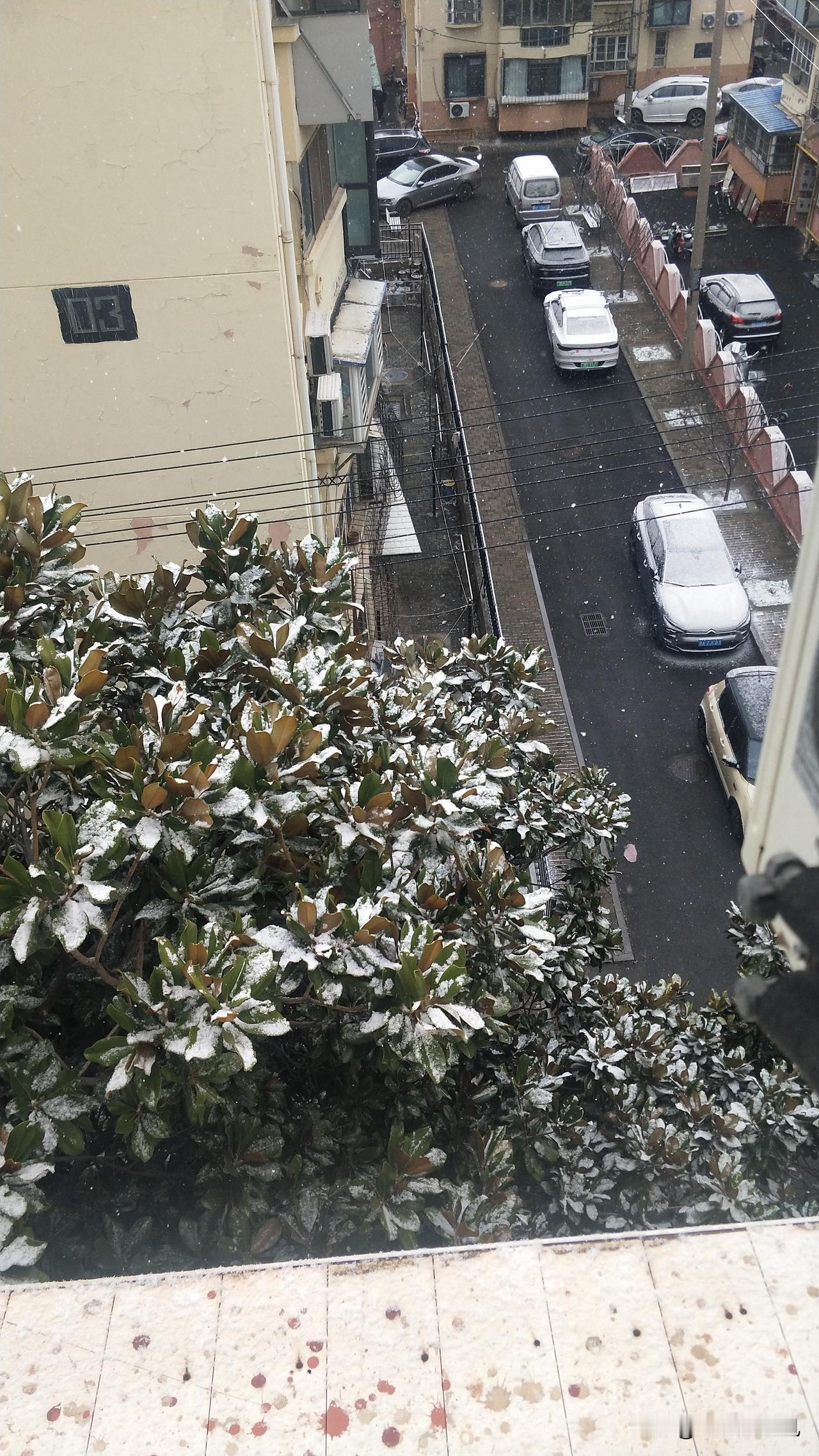 ＃雨夹雪来了！天气预报准了！
夜里悄悄地下过，现在还在下，无声无息地雪。
雪不想