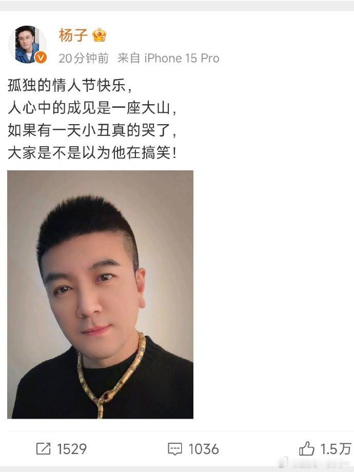 杨子：孤独的情人节快乐[笑cry][笑cry] 看来黄圣依是不会和杨子复合了吧，