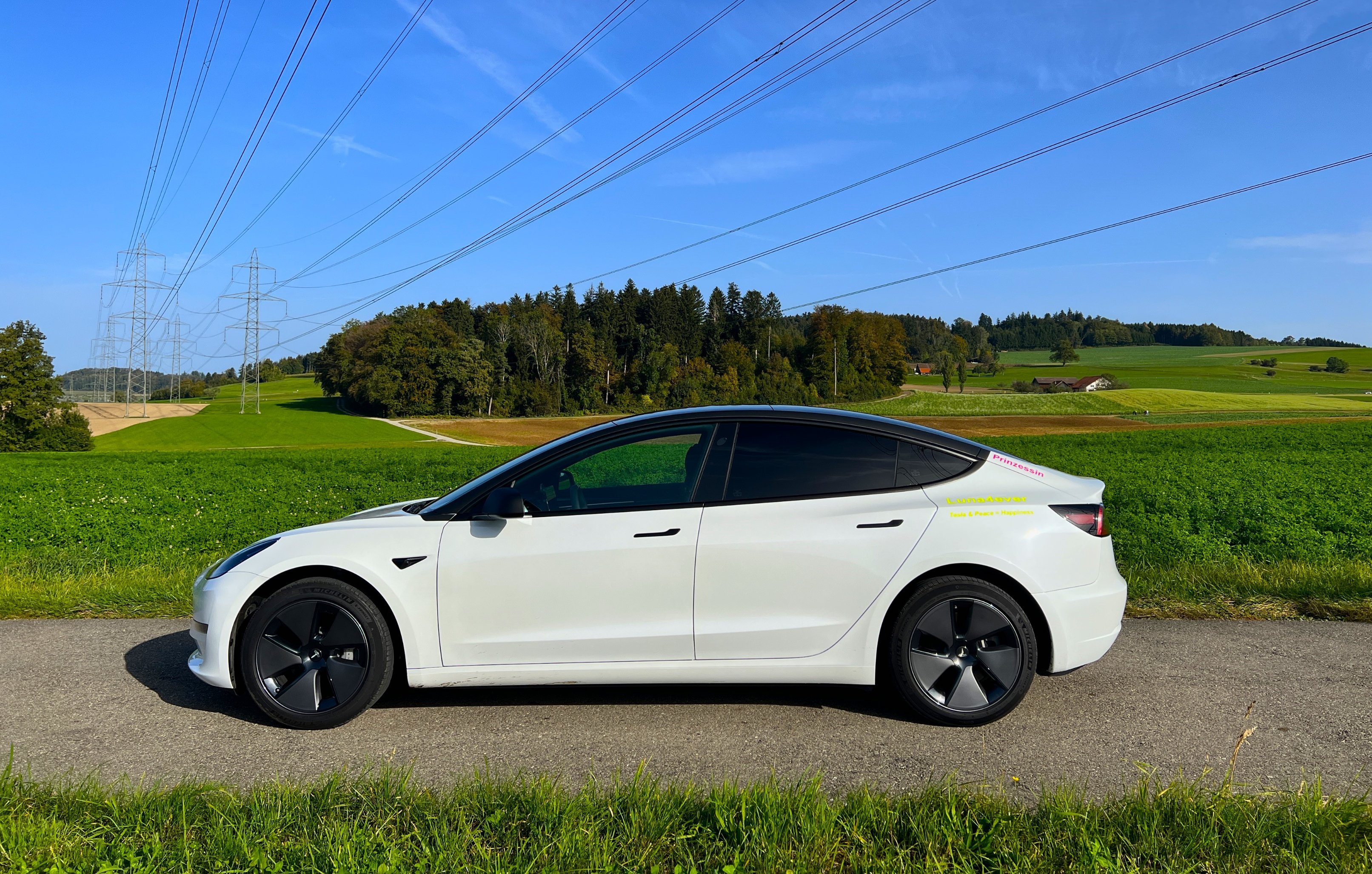 马斯克曾被警告特斯拉车门安全隐患，却坚持电动设计12月22日，彭博社发表了一篇深