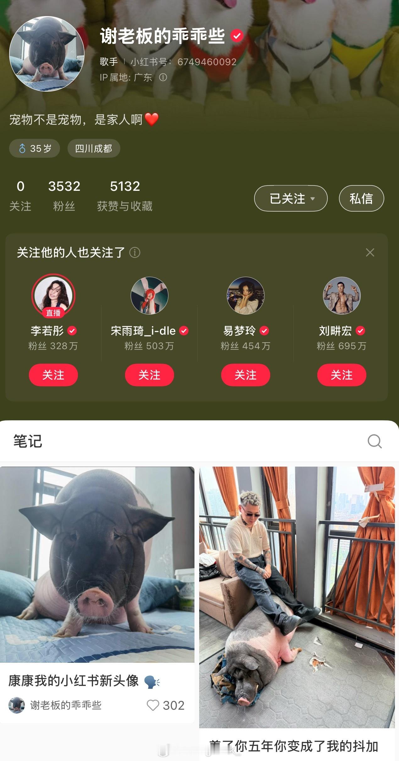 谢老板真成宠物博主了！为自己的小猪开通账号！谢帝 ​​​