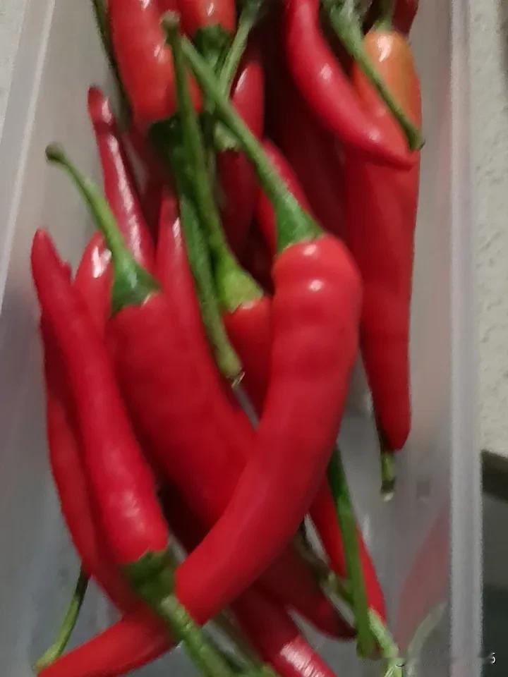 这几个小米辣太辣眼睛了，绝对是别有一番滋味在心头。
   
   姑娘啊，就那么