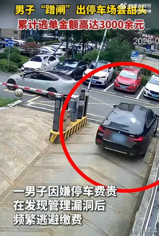 宝马车主逃单3000被抓说这么多吗逃了183次逃单3000，如果有一次后车不让他