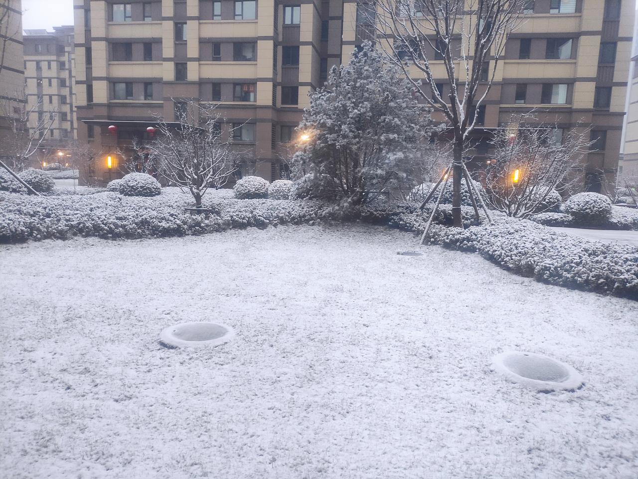 冬日雪景下的静谧庭院，简直是现实版的童话世界。雪落森林，树木枝丫堆满蓬松的雪，像