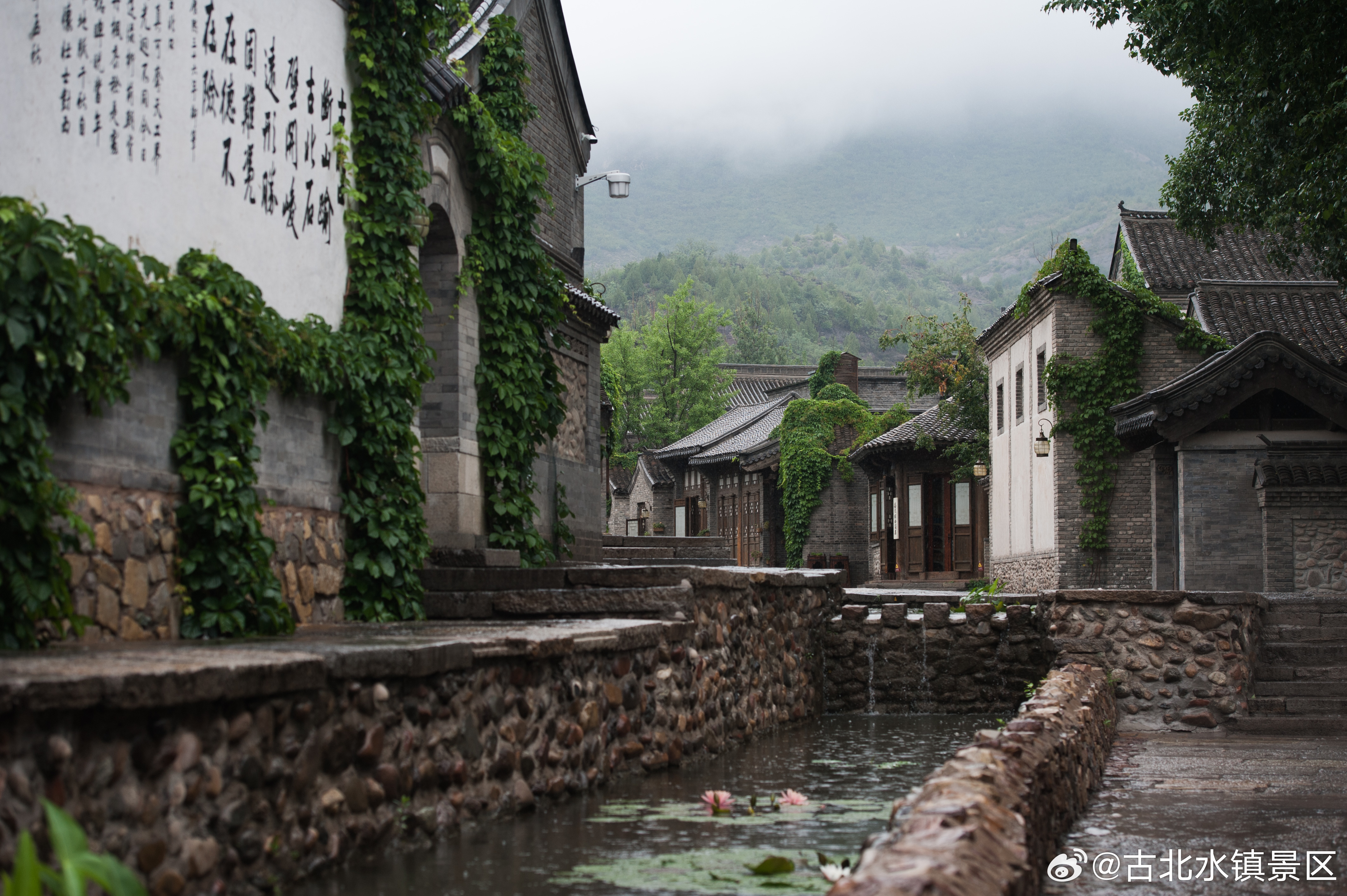 夏日，赴一场烟雨，寻一场静谧。#长城下的星空小镇# #天青色等烟雨# #古北水镇