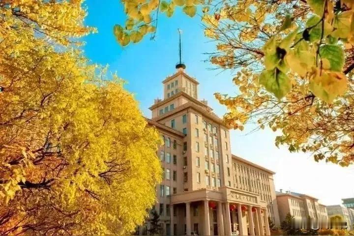 “真后悔读民办本科了！”一位网友哭诉，他说很后悔当初没听老师的话，读专科学一门技