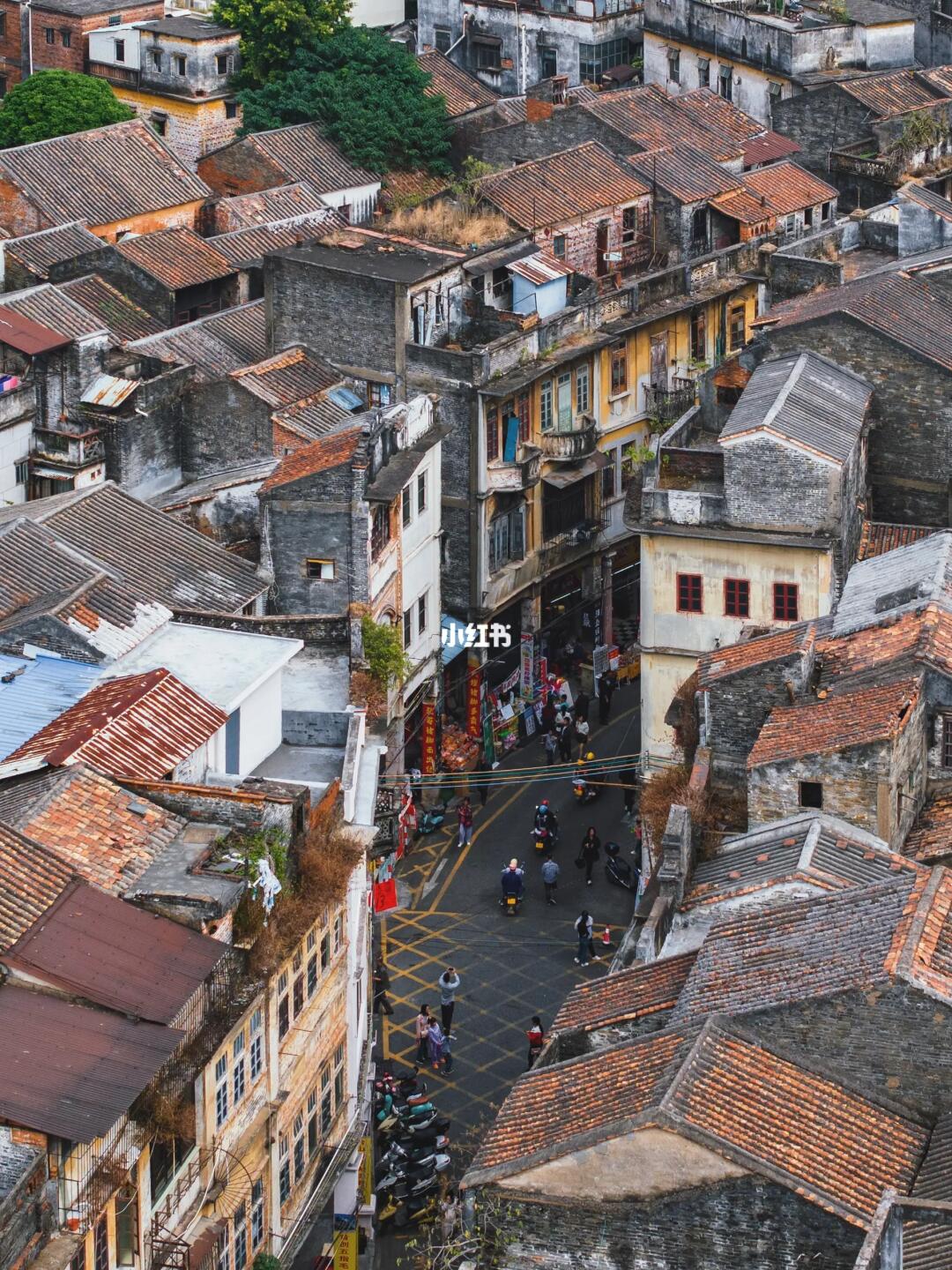 不是欧洲去不起‼️而是中山更有性价比