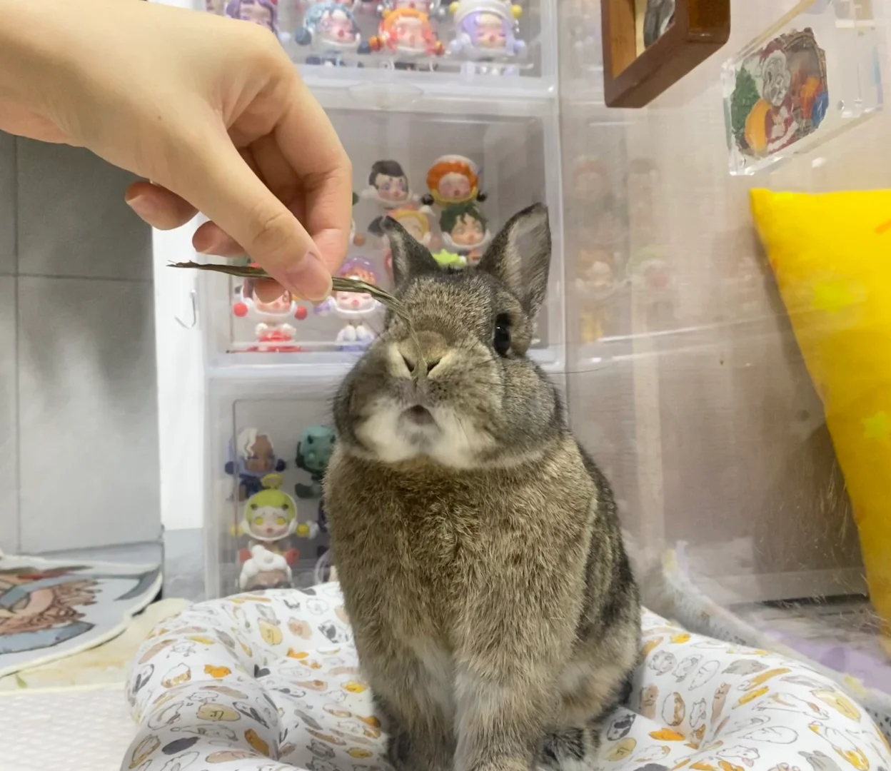 真美味
