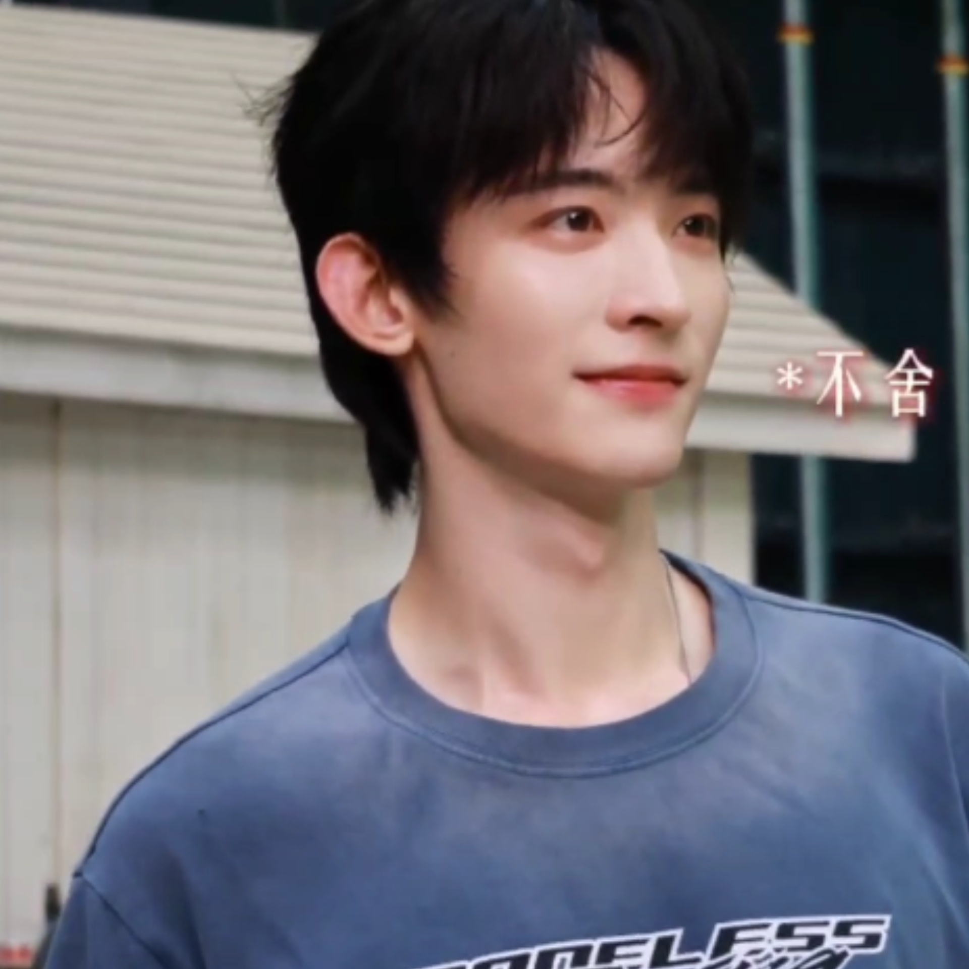 真要和壁虎宝宝说再见了，我们什么时候能够重逢🥺 