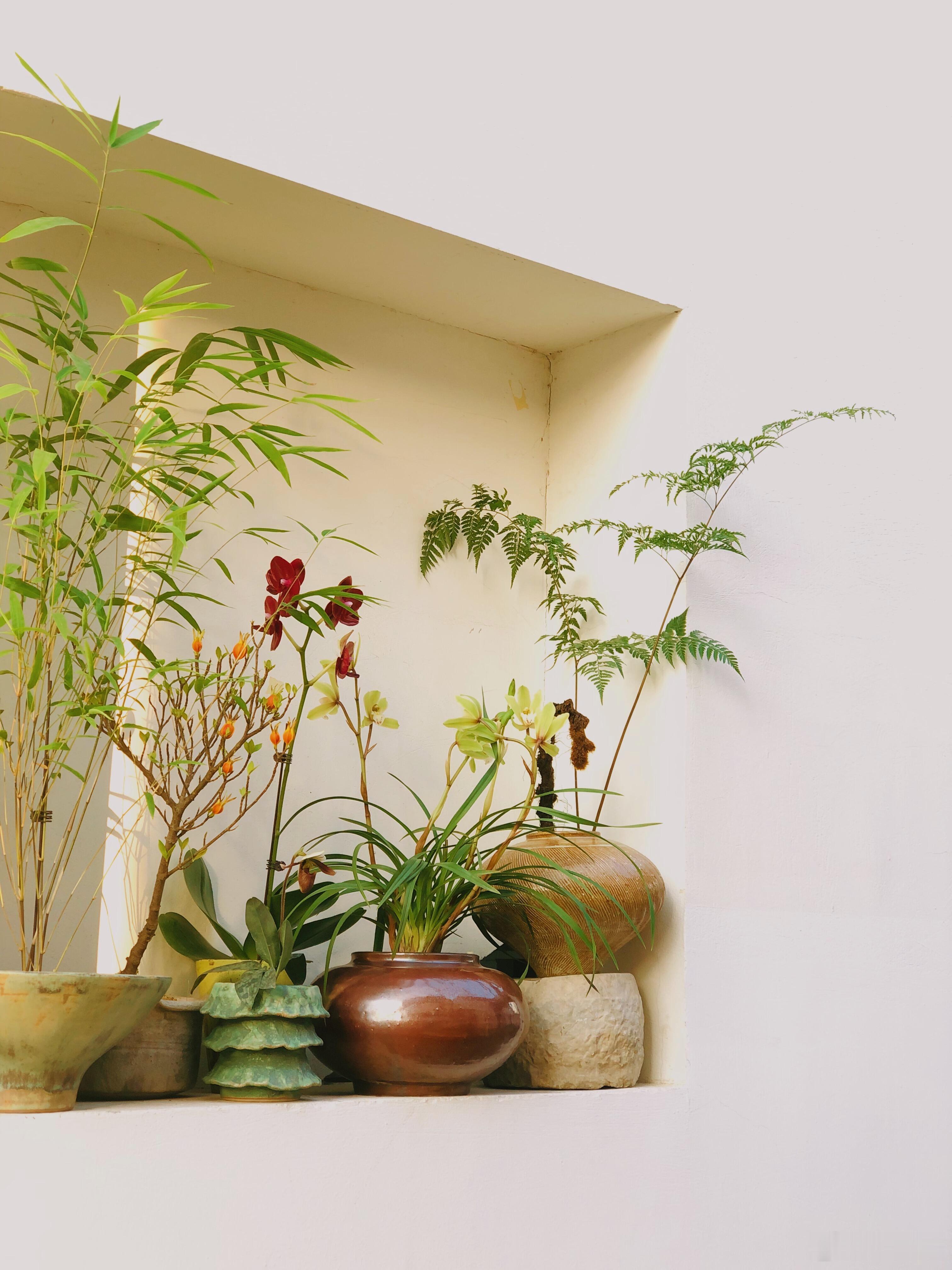 祝你我  在新的一年更好地拥抱自己平和喜悦的活在当下福气满满 乐趣多多生活碎碎念