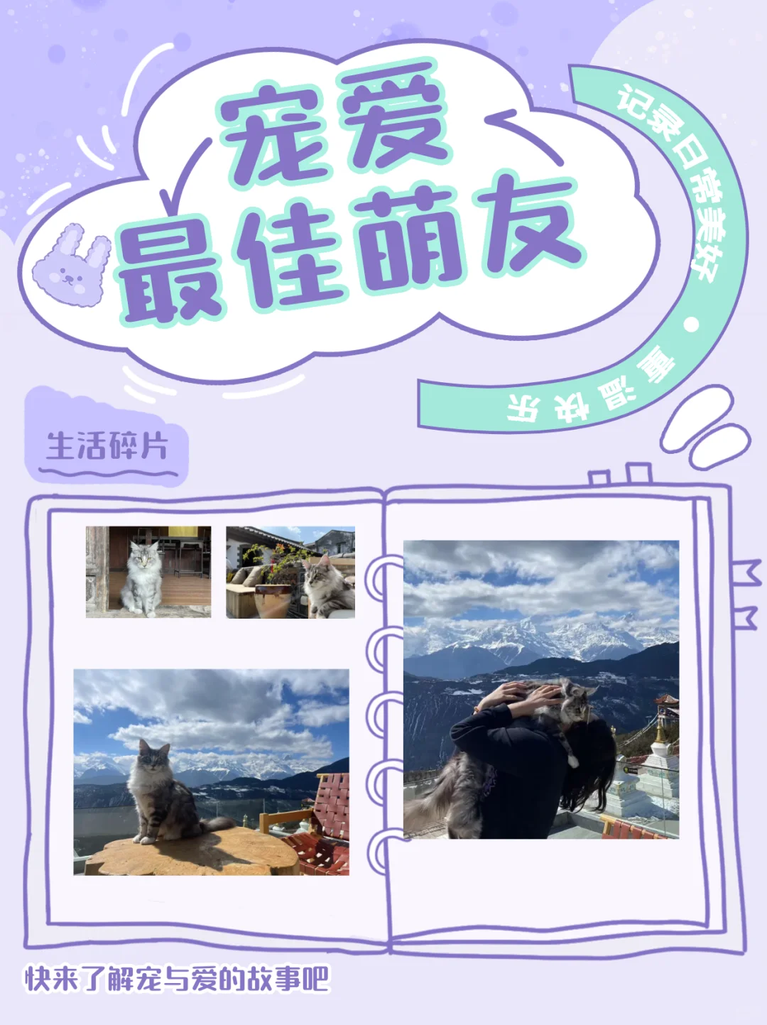 【最佳萌友】🐱 与爱宠共赴山海的暖心时光