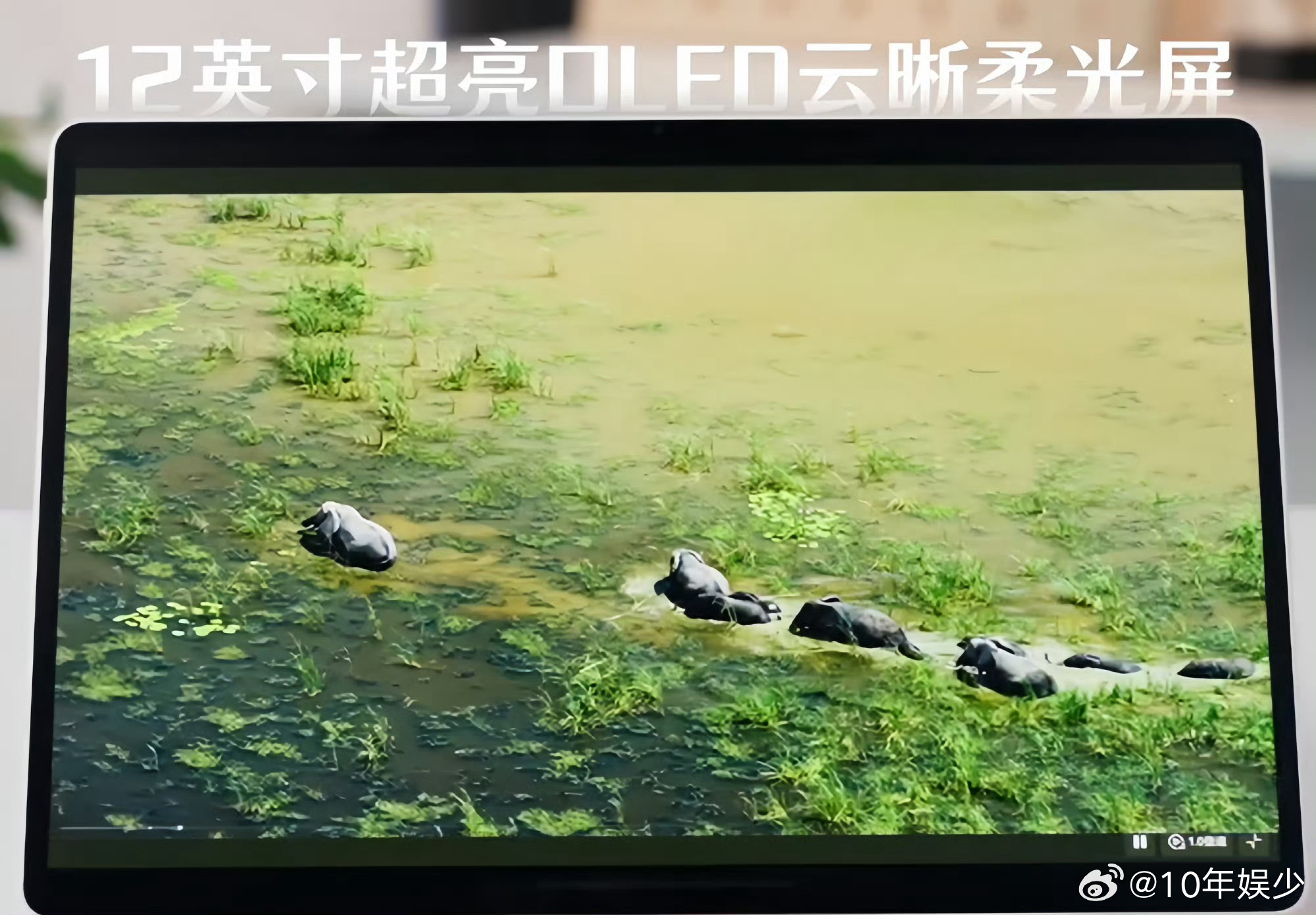 全新华为MatePadAir即将发布 屏中万象，触手可及。全新华为MatePad