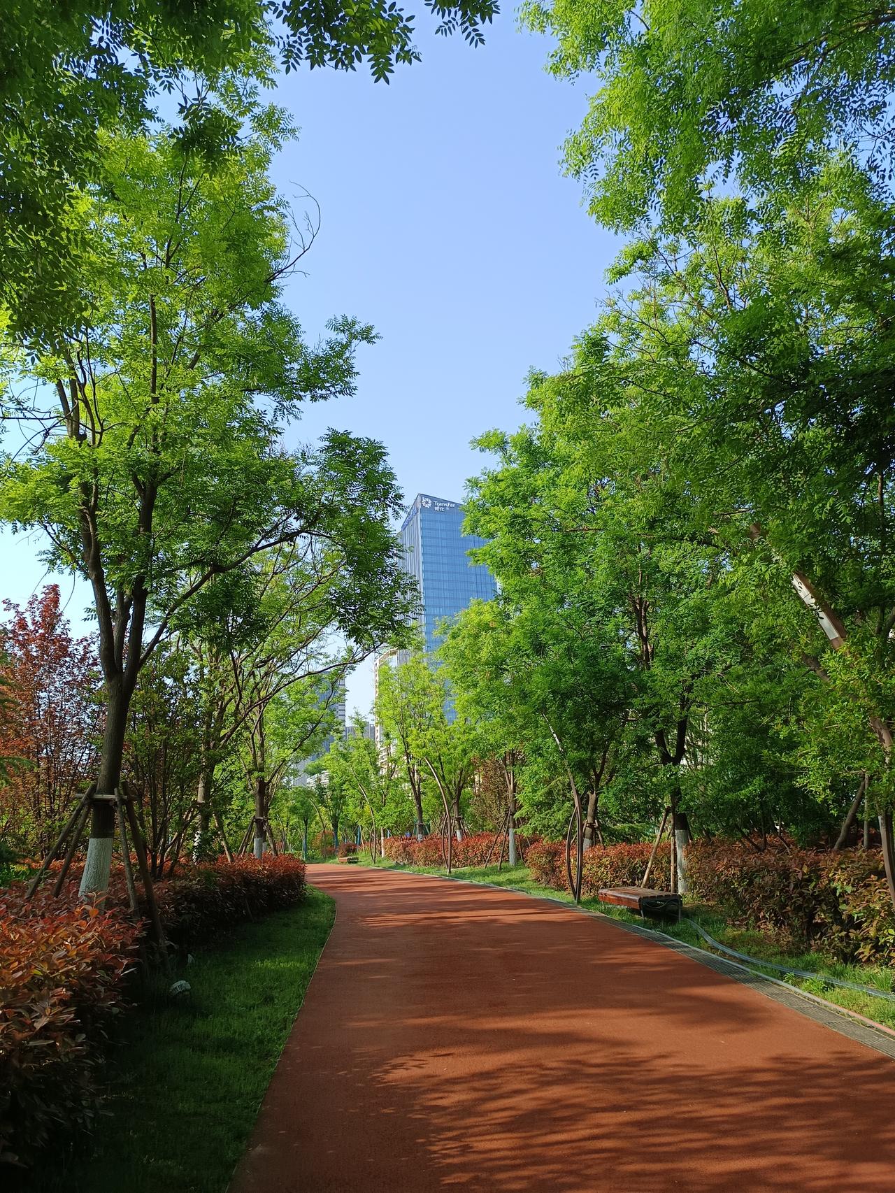 幸福林带公园真的是周边居民的宝藏之地！它南北长5.85公里，东西宽210米，占地