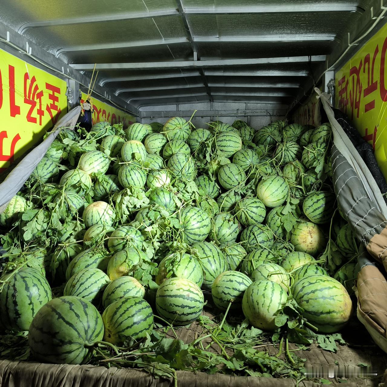 瘦人突然开窍，让人怀疑

昨天早上瘦哥打羽毛球回到家，跟我说：“今天是七夕节，你