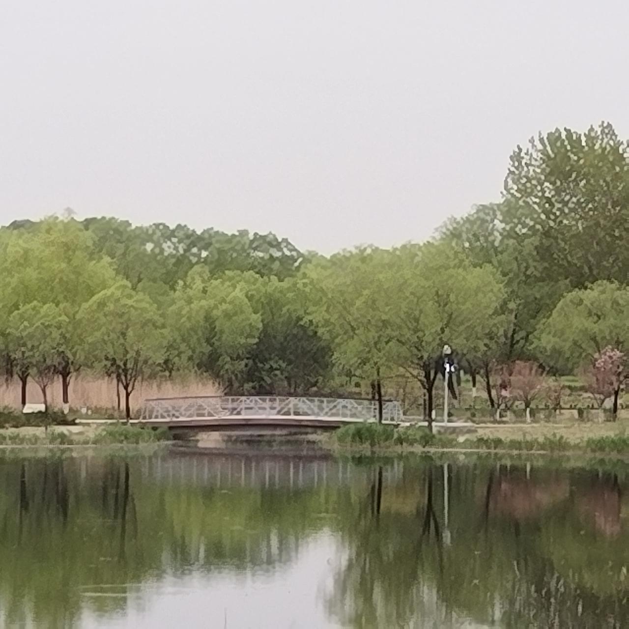 早晨的奥森，没有了周末的喧嚣，恢复了平静。