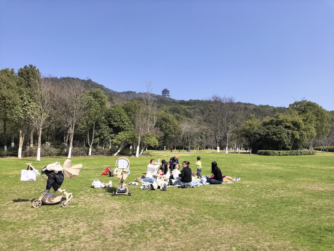 3月10日，利用午休时间徜徉在浙江湖州山水清音景区，醉了！
春日暖阳下，春和景明