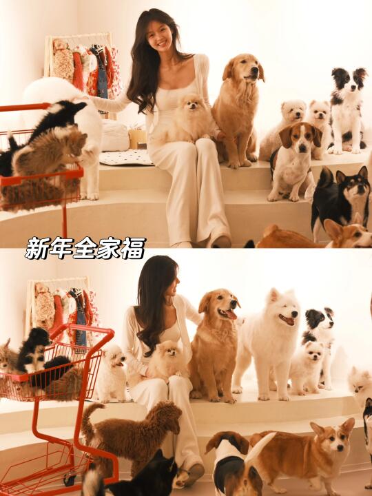 Plog/年前的准备🧧给狗子们买新年衣服咯！
