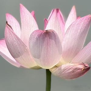 付出的努力从不会被辜负，默默耕耘过后，生活自会给予温柔回响。 