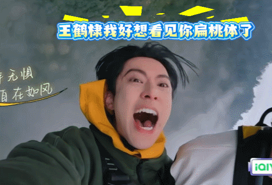王鹤棣我好像看见你扁桃体了这蹦极看来是真的是给我们王鹤棣哥给玩爽了啊！已经失去表