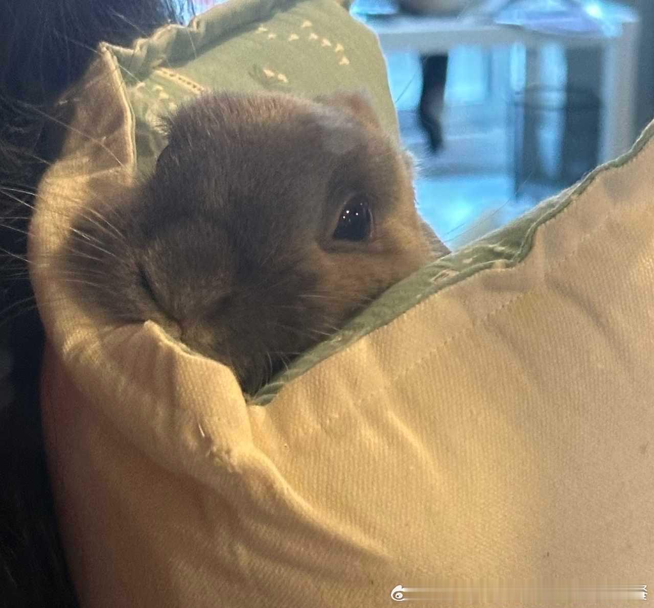 14332🐇【宝宝】🤲🤲🤲 