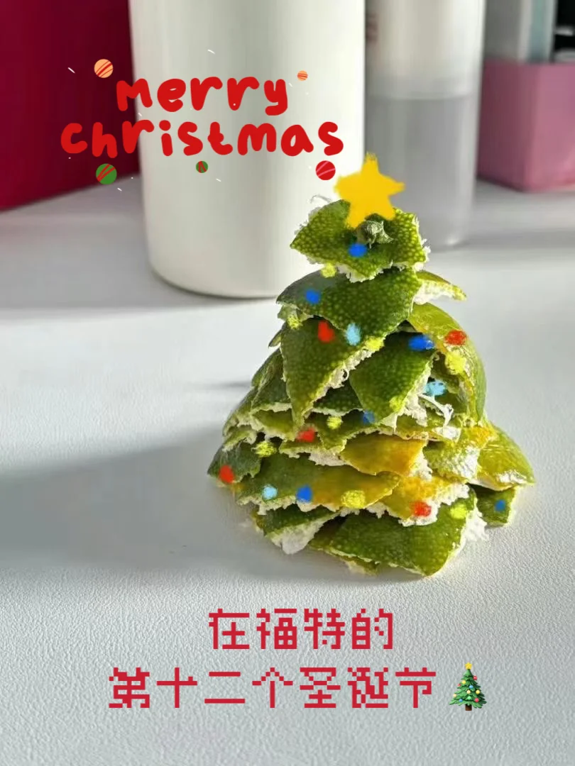 在福特的第十二个圣诞节🎄