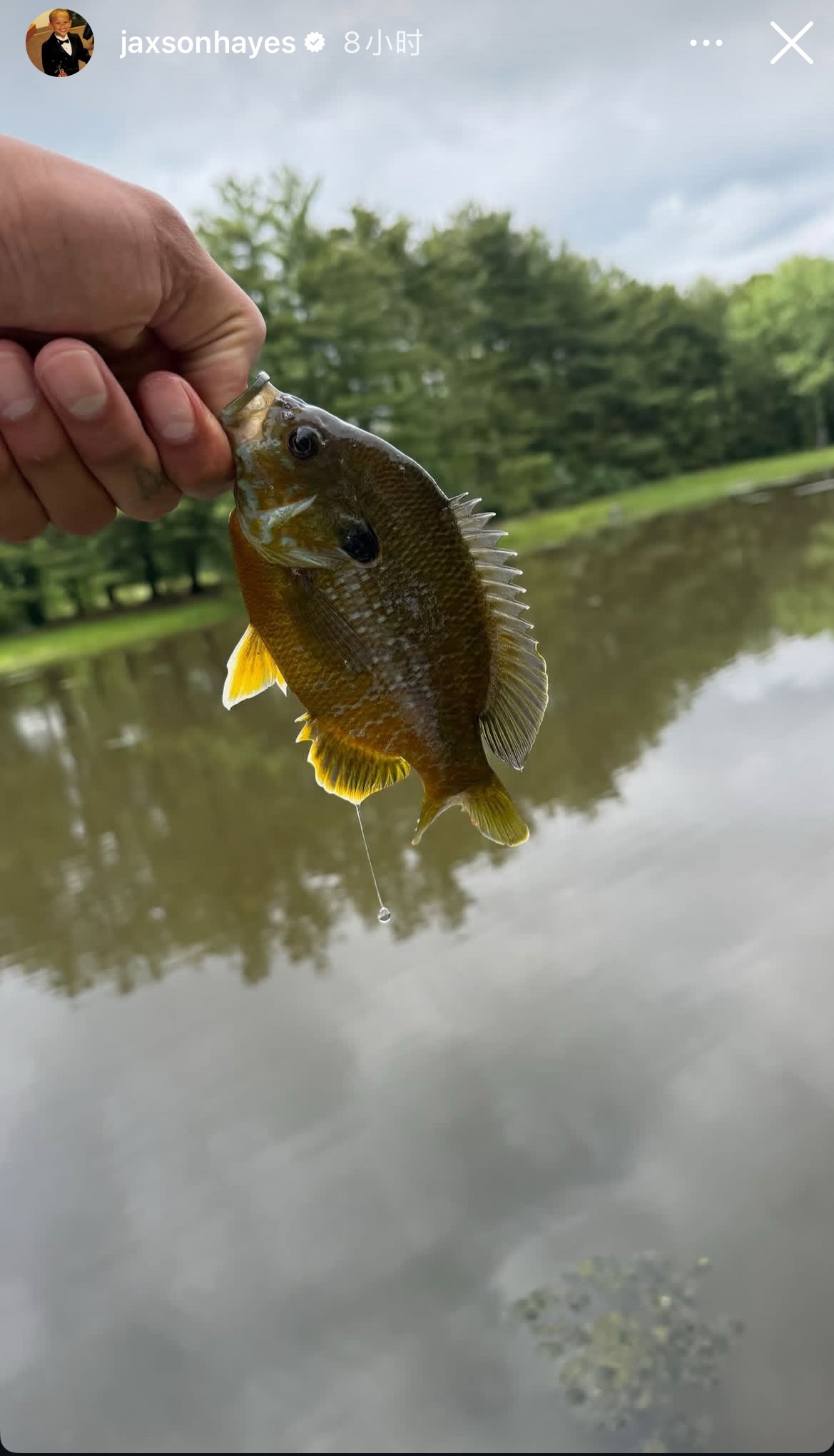 海斯生日当天前去钓鱼，还算有所收获🎣 