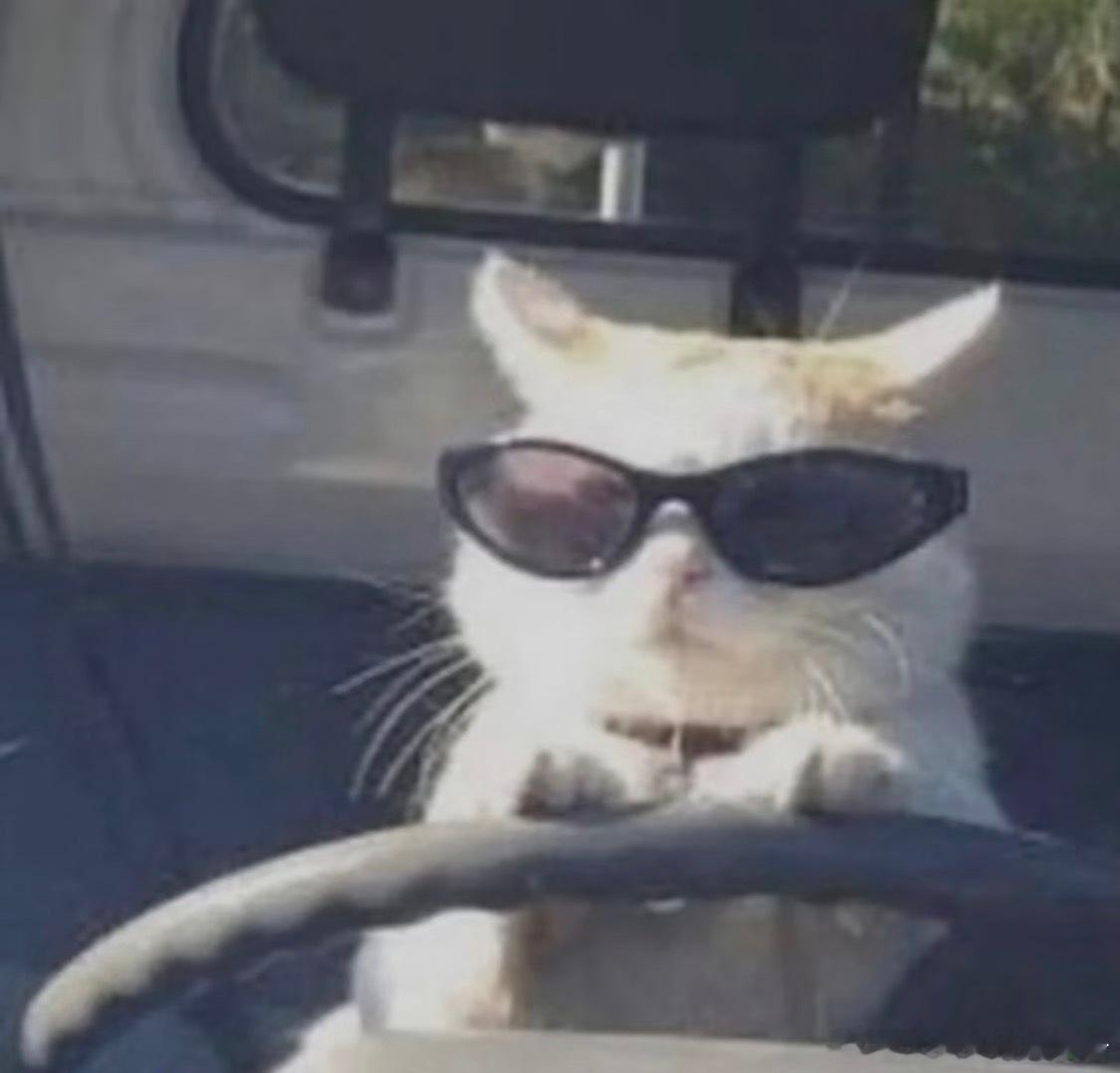 买车为什么一定要有动力冗余动力冗余=人生备用选项，像充电宝、应急通道、存款余额，